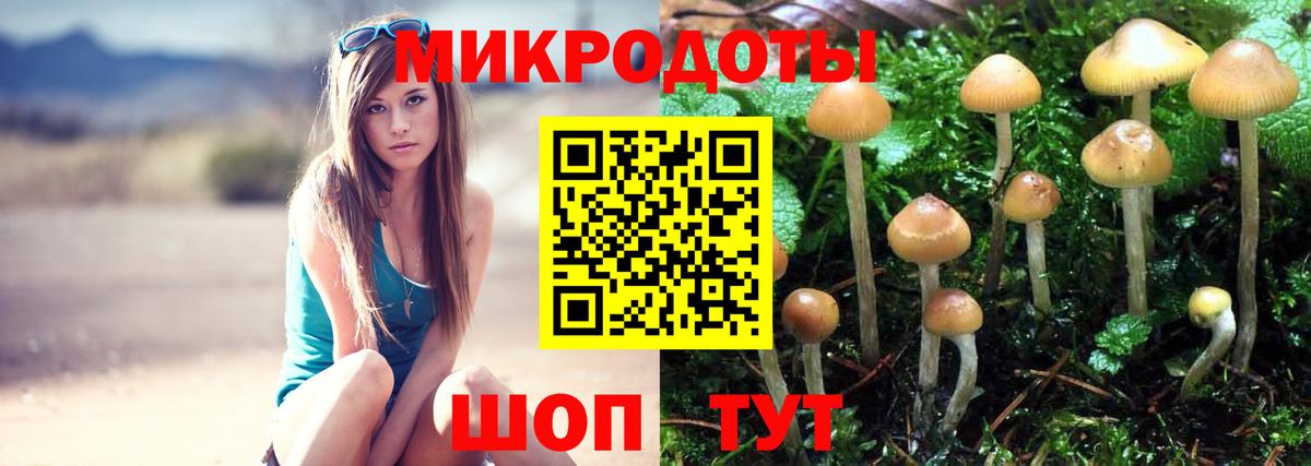 Лосино-Петровский  Псилоцибиновые грибы Cubensis  Вход с VPN  Галлюциногенные грибы ЛСД 