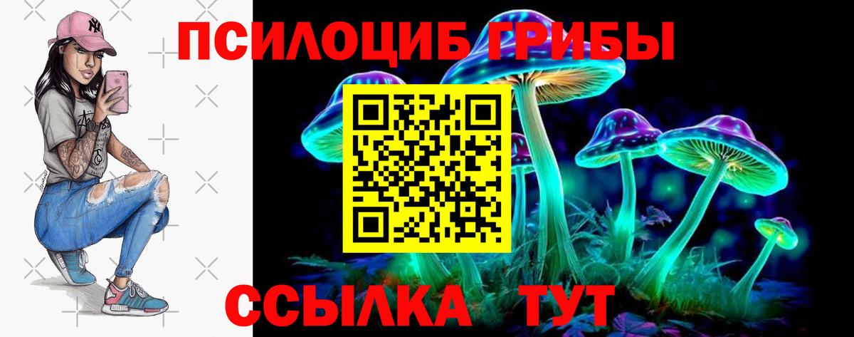 Галлюциногенные грибы Psilocybe Лосино-Петровский
